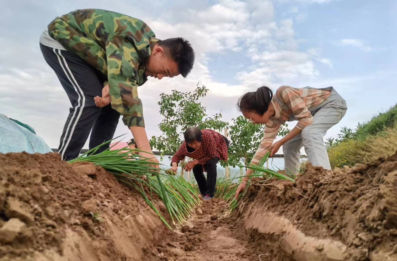 图为小学生做家务