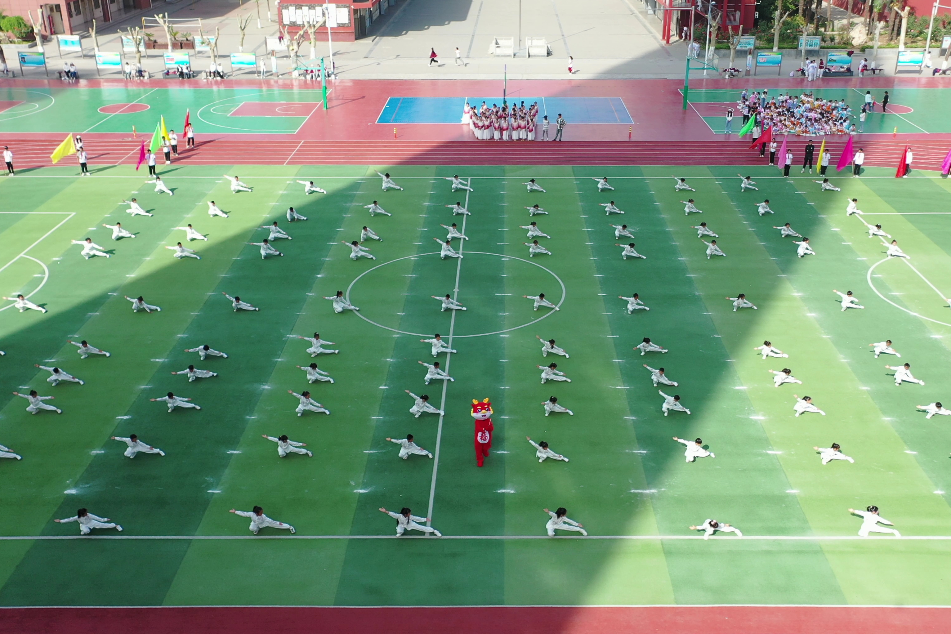 图为五步拳表演